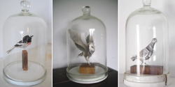 foxandfayvel:Paper birds in bell jars, Anna-Wili Highfield (via pinpricks)