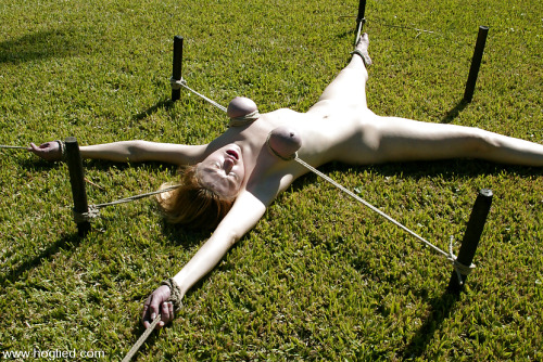 wrapandstrap: bvndbsick: domsub:  staked out on the lawn while her Owner and some friends enjoy a dr