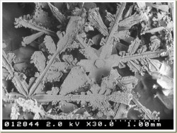 sirmitchell:  Snow under a microscope.  INSANE. Check out the rest here.  