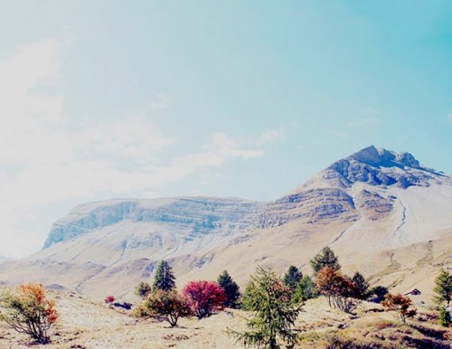 flihrty:  ☆ gypsy/indie blog ☆