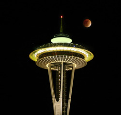 ajsiharath:  lunar eclipse in seattle,wa