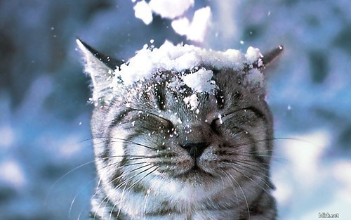Kiss me where it smells funny
