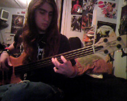 Bass Bass Bass