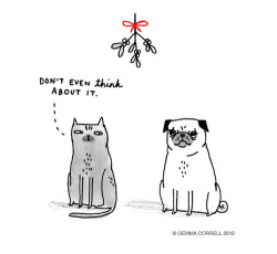 brainnsss-nom:  appledress:  urhajos:  ‘Merry Christmas, everyone!’ by Gemma Correll  &lt;3 &lt;3 &lt;3  This is my cats right now with the strange little enthusiastic dog that is temporarily residing in our home. 