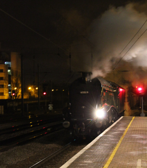 The 4464 Bittern passing through Welwyn Garden City station.