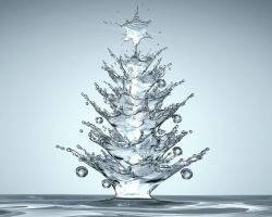 sunsurfer:  H2O Christmas Tree 