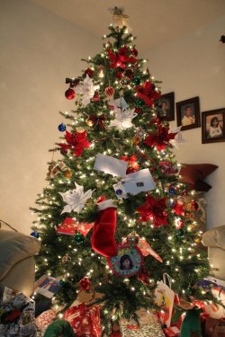 Our Tree!