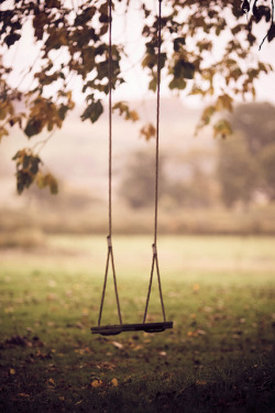 One of my main dreams is to have such a swing. Hanging from a tree beside the home I settle into.
