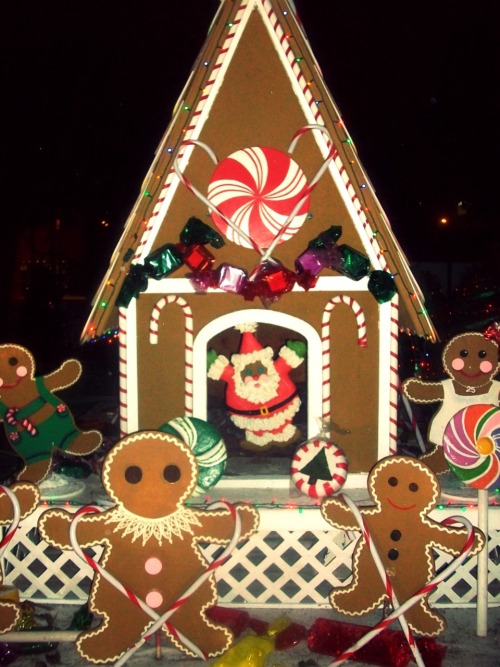 A gingerbread house at Christmas in the Park! I went with my best friend :)
