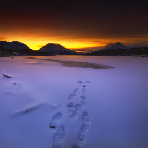 dangel799:  My tracks by johnny :)