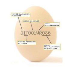 Un uovo, può essere il prodotto di una gallina
