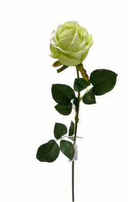 I Want One :3 Even Though I Got A Bouquet Of Green And White Roses Last Valentines