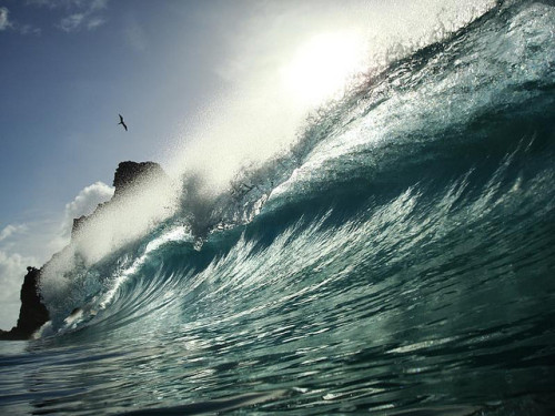 sealust: Noronhahhhhhh! (by João Vianna) Aaaaaaah&hellip; Noronha.  I do need to (and hop