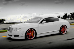 lovenannceee:  Bentley GT 