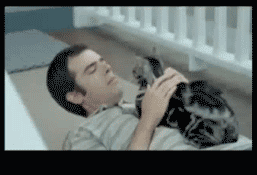 10 Reasons Why Life Would Be Better As A Cat: