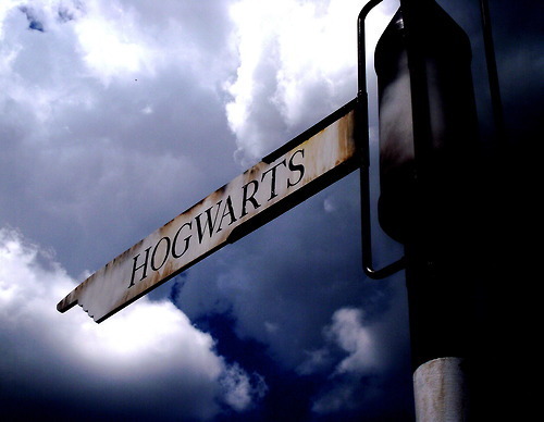 FUCK YEAH POTTER PHOTOGRAPHY on we heart it / visual bookmark #3716802