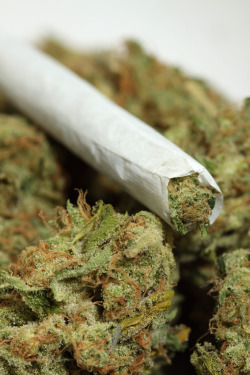 thatsgoodweed:  medical grade joint 