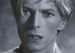 thenazz:crazyunclebowie:ohh-youprettythings:    Have you ever seen anybody more beautiful?  Never.  :’)