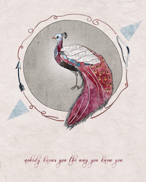 Lovely peacock illustration by meeralee.