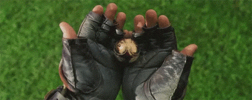 expelliarmuz:  Top 5 Favourite Scenes in Harry Potter and the Sorcerer’s Stone