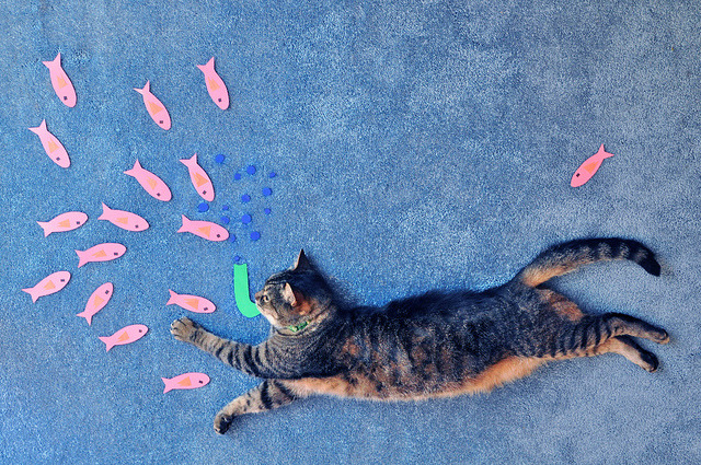 photojojo:
“ All you need is some paper and scissors to make your kitty’s dream come true.
by Theresa (Bloch05)
”