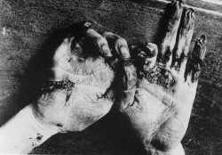 hands,fucking hands. 