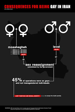 androphilia:  [LGBT rights in Iran | Wikipedia]