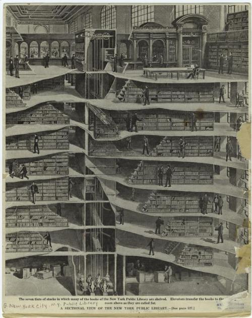 housingworksbookstore:  A sectional view of the New York Public Library. (1911) (via NYPL Digital Ga