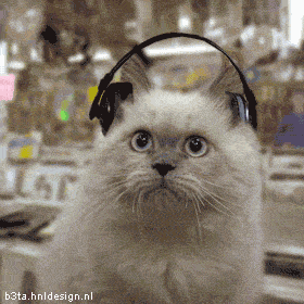 Escuchando música...