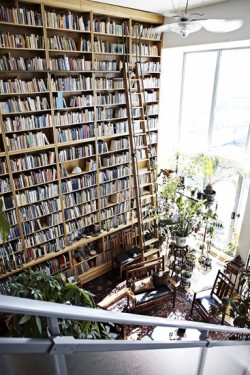 idooodle:  Oh my god. I’ve died &amp; gone to book heaven. Perfection.