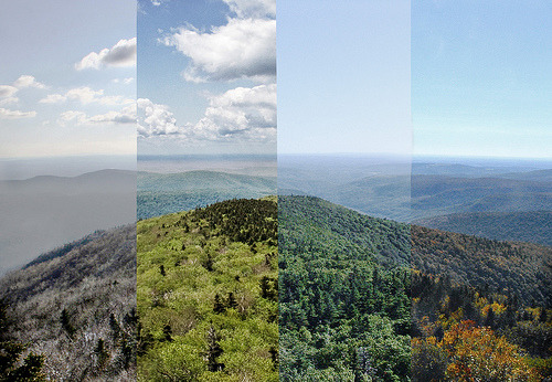 yerawizardharry:  Peekamoose Mountain: winter, spring, summer, autumn.