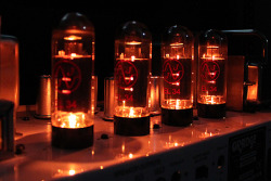 axestasy:  The tube that will set your amp