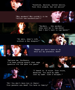 dailypotter:  Ronald Bilius Weasley (favorite