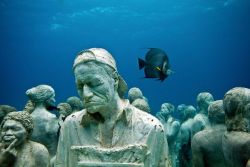 skysignal:   “Bodies” Fill Underwater Sculpture Park Photograph courtesy Jason deCaires Taylor The people in “The Silent Evolution”  were created from live casts of a wide sample of people, most of them locals—including Lucky, a Mexican carpenter