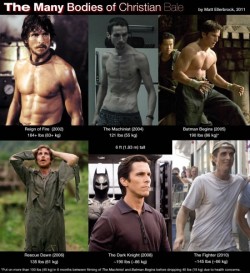 thedailywhat:  Infographic of the Day: Matt Ellerbrock explains the impetus behind his “Many Bodies of Christian Bale” infographic (you know, besides Christian Bale’s many bodies):  With the recent release of David O. Russell’s “The Fighter,”