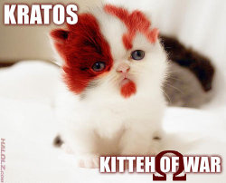 awww kratito