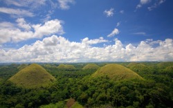 This Is A Marvellous Landscape Called Chocolate Hills On Bohol Island, Philippines.