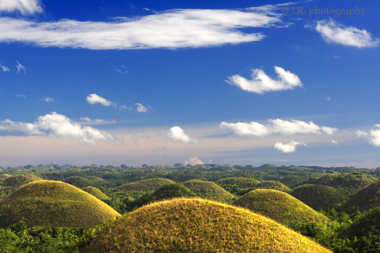 This is a marvellous landscape called Chocolate Hills on Bohol island, Philippines.