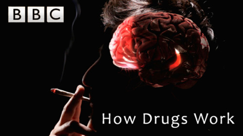 bbc как действуют наркотики марихуана 2011