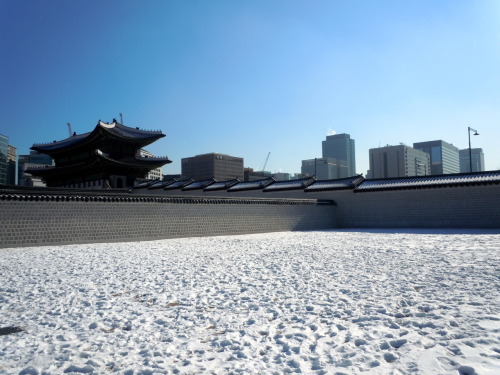 korea is really, really cold in january. gyeongbokgung palace in seoul, korea.