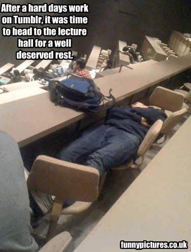 Funny Pictures