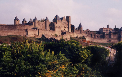 Carcassonne (by Irene Suchocki)