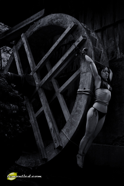 xemxija:  As the wheel turns … lemontied:  yuma | aug2008 