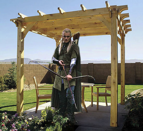 thekrambrulee:  Pergolas