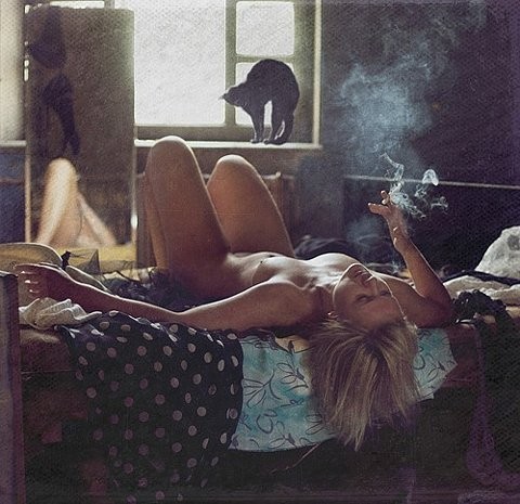 tumblr photo herrsurf 0