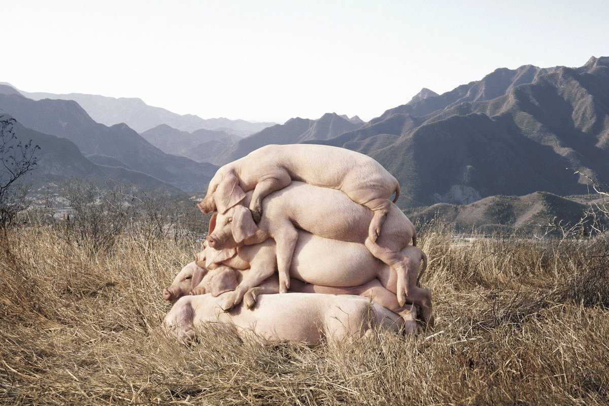I Love Modern Art Too photo by Zuoxiao Zuzhou, 2007; a revision of this &amp;