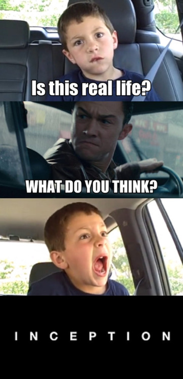walkingpotatoes:  taycreatesmemories:  pip-pip-cheerio:  nevershoutandy:  whatitdrew:  oh shit, where’s my totem.  OH. MY GODOODKFPODSMFDSOFS OMOGMOMSDOMGOMSDG  LSAKdkjashdiuahsdsa  omg  kasjfoai3y4io23yikjasfnkjdfkajhsdflahksdf omg 
