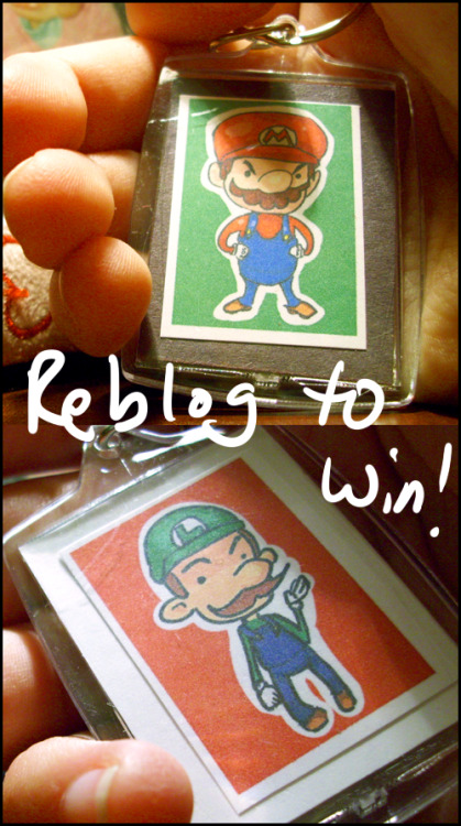 zeekayart:  Reblog for your chance to win! If you reblog this picture you’ll be entered into the draw! Liking the picture gets you an extra chance, but you have to reblog it first! Just liking it will not get you an entry. The winner gets a key chain