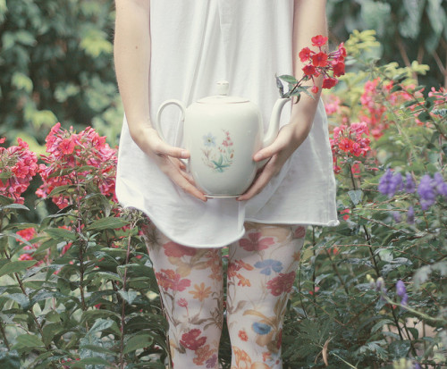moonlight-path:Bloomy Tea (by Jula Mint)