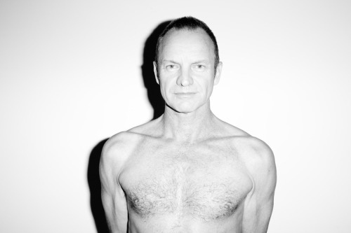 terrysdiary:  Sting 